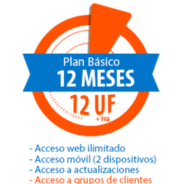 Plan Básico 12 meses